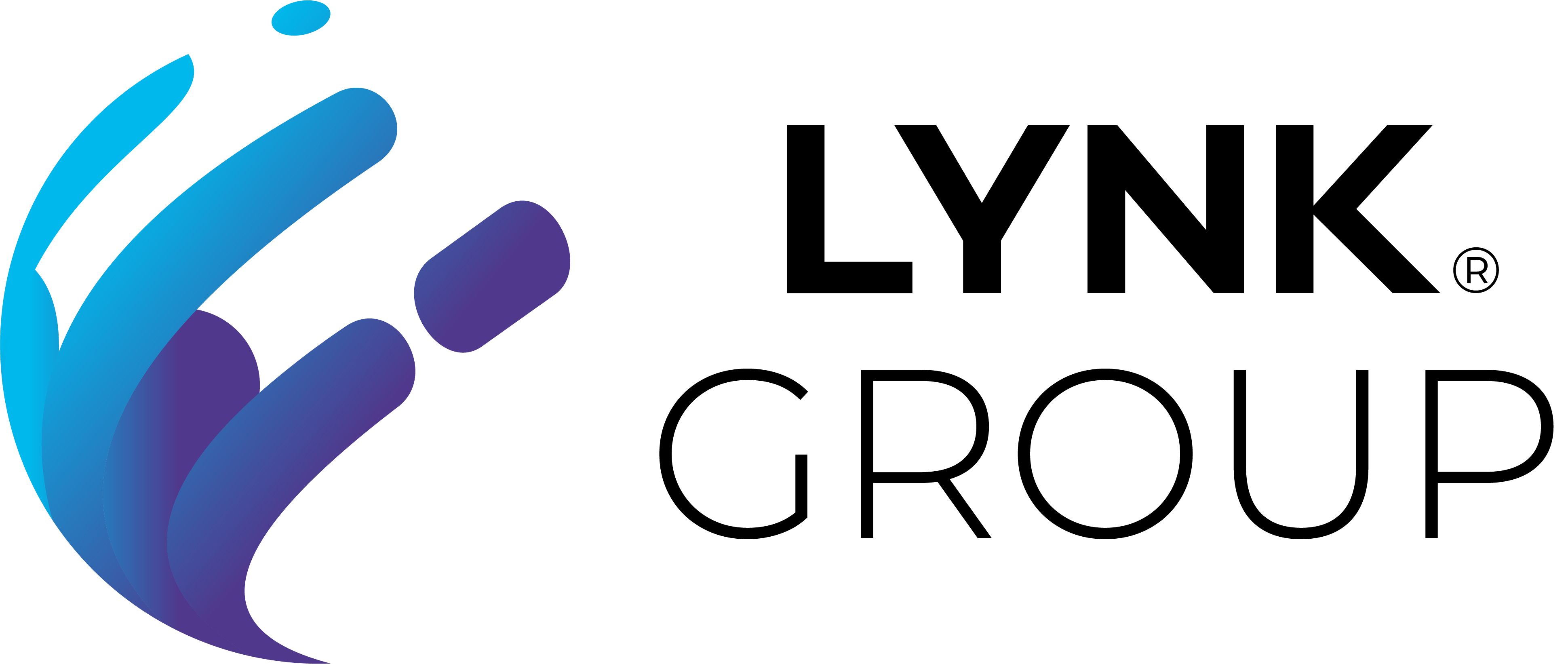 Logo LYNK GROUP - Software House Italiana