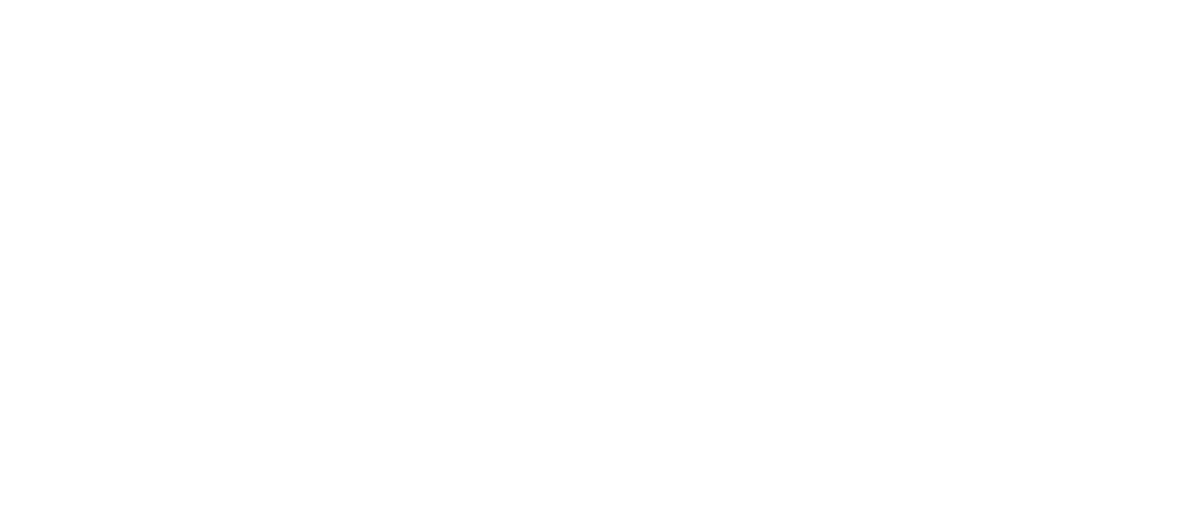 Logo LYNK GROUP - Software House Italiana